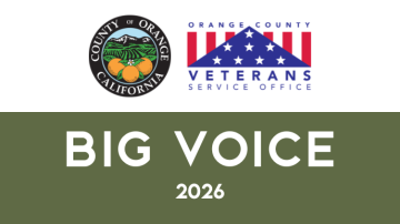 Big Voice Newsletter logo 2026
