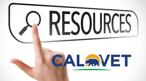 CalVet Veterans Resource Book 8th Edition Title Card