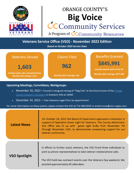 Big Voice Newsletter - November 2022