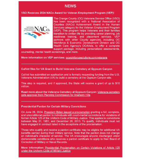 Big Voice Newsletter - July 2024pg4