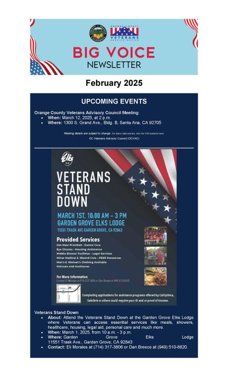 Big Voice Newsletter - Feb 2025pg1