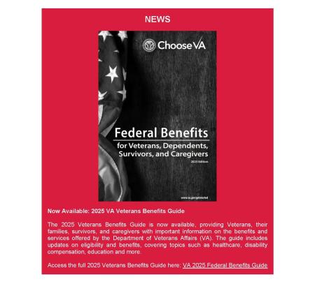 Big Voice Newsletter - Feb 2025pg5
