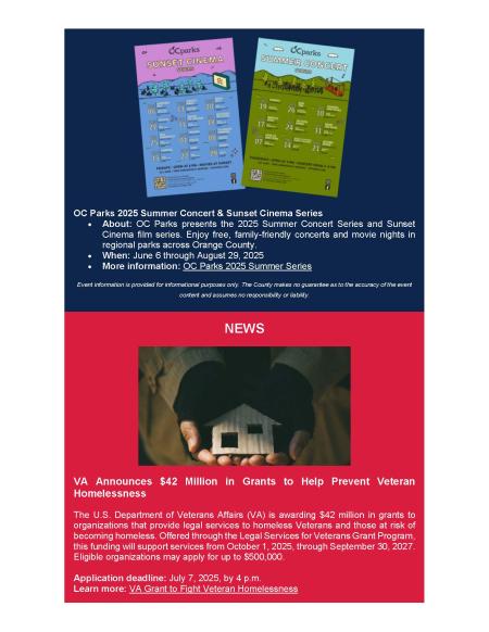 Big Voice Newsletter June 2025_Page_3
