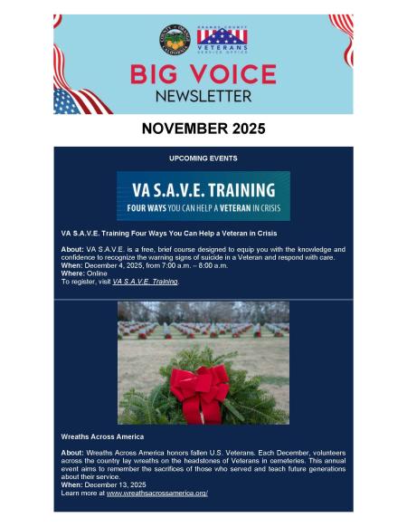 Big Voice Newsletter November 2025_Page1