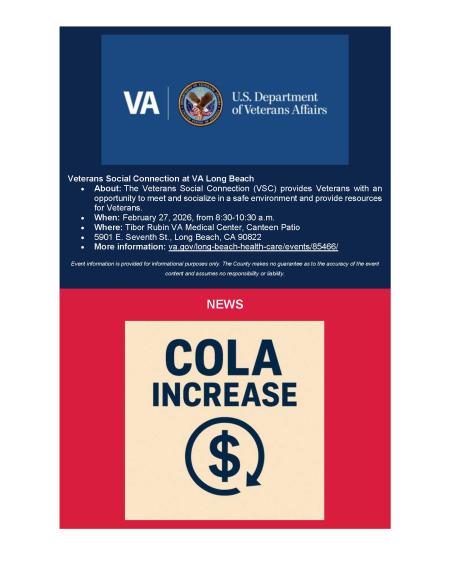 Big Voice Newsletter January 2026_Page_3